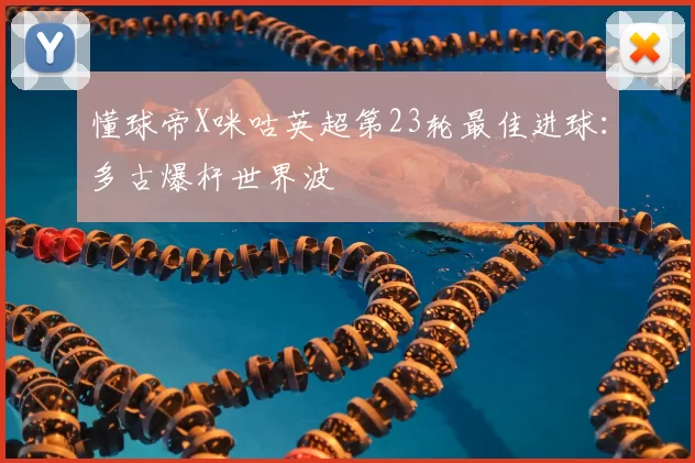 懂球帝X咪咕英超第23轮最佳进球：多古爆杆世界波