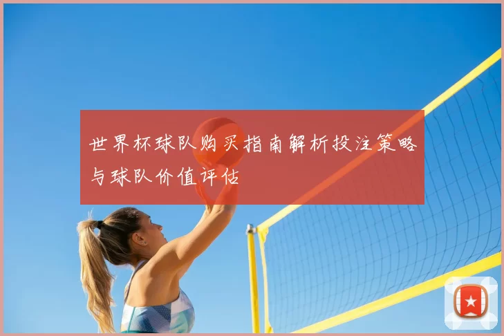 世界杯球队购买指南解析投注策略与球队价值评估