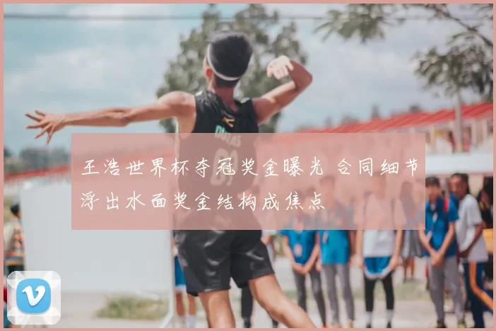 王浩世界杯夺冠奖金曝光 合同细节浮出水面奖金结构成焦点