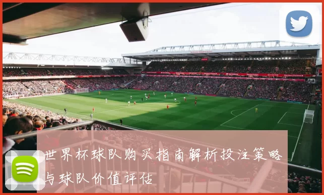 世界杯球队购买指南解析投注策略与球队价值评估