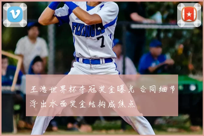 王浩世界杯夺冠奖金曝光 合同细节浮出水面奖金结构成焦点