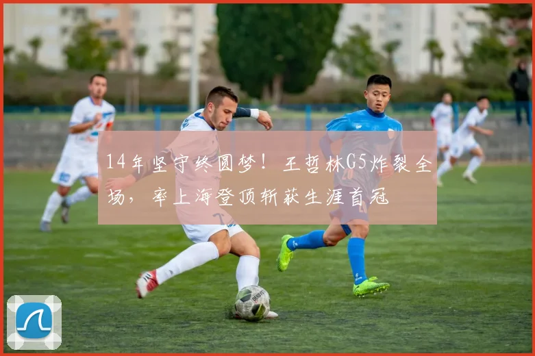 14年坚守终圆梦!王哲林G5炸裂全场,率上海登顶斩获生涯首冠